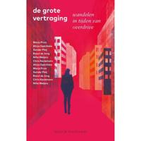 De grote vertraging (Paperback) - thumbnail