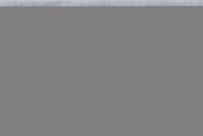Faller 272313 N Voetpad (l x b) 300 mm x 120 mm Faller 272313 N Voetpad (l x b) 300 mm x 120 mm