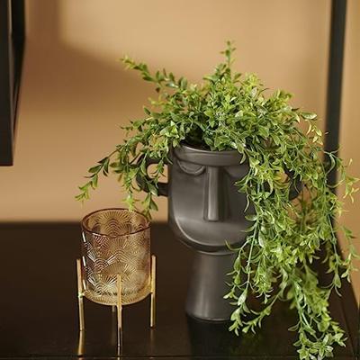 Zijdeplant Hangplant met pot Buxus kunstplant Driesprong Collection - Driesprong collection Zijdeplant Hangplant met pot Buxus kunstplant Driesprong Collection - Driesprong collection