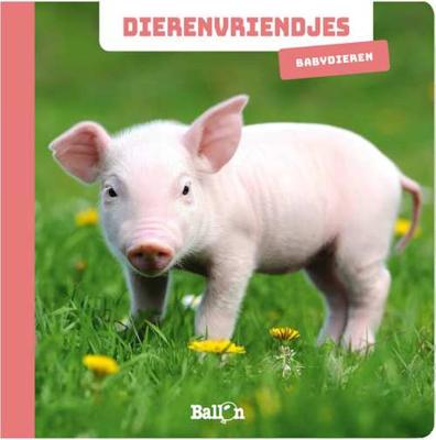 Boek Babydieren