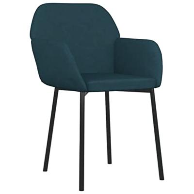 Eetkamerstoelen 2 st fluweel blauw