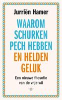 Waarom schurken pech hebben en helden geluk - Jurriën Hamer - ebook - thumbnail