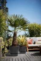 Bloempot Elho Zwart Plastic Cirkelvormig Modern Ø 47 cm - thumbnail