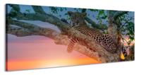 Schilderij -Luipaard in boom, 120x60cm. Wanddecoratie, premium print - thumbnail
