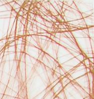 Vaessen Creative • sizoweb 5mx30cm in koker bruin - thumbnail