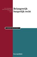 Belangenrijk burgerlijk recht (Paperback) - thumbnail