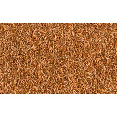 Gammarus 1 liter Vis Gebr. de Boon Tetra - Tetra Gammarus 1 liter Vis Gebr. de Boon Tetra - Tetra