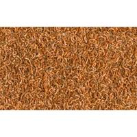 Gammarus 1 liter Vis Gebr. de Boon Tetra - Tetra - thumbnail