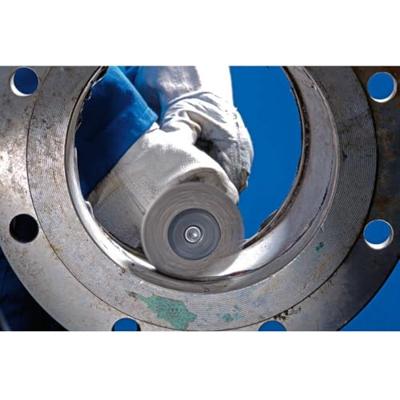 PFERD TOOLS 43102003 Ronde borstel op stift, ongetordeerd RBU 3006/6 INOX 0,20 10 stuk(s)