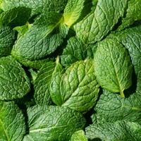 Ecodenta Mondwater Multifunctional - thumbnail