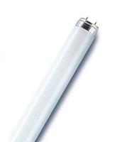 OSRAM HOMELIGHTING TL-lamp Energielabel: G (A - G) G13 15 W Koudwit 840 Buis (Ø x l) 26 mm x 438 mm 1 stuk(s) - thumbnail