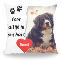 Voor altijd in ons hart - Pillow Buddies - thumbnail