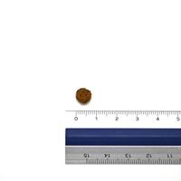 FARMINA N&D Pumpkin Cat Quail and Pomegranate Neutered Adult - droog kattenvoer - 300 g - thumbnail