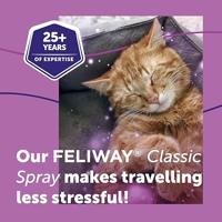 Geurverwijderaar Ceva Feliway Verzachtend Kat 60 ml - thumbnail