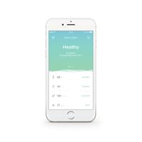 Netatmo Healthy Home Coach Luchtkwaliteitssensor, Rosegoud - thumbnail