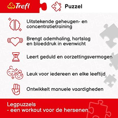 Intro Trefl puzzel van stoomtrein in de bergen 1000 stukjes