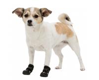 TRIXIE POOTBESCHERMING WALKER ACTIVE ZWART S-M 2 ST - thumbnail