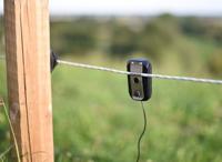 AKO pulse flash - thumbnail