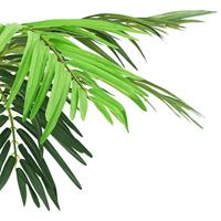 Kunstboom met pot phoenixpalm 190 cm groen - thumbnail