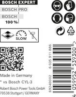 Bosch Accessories EXPERT CYL-9 MultiConstruction 2608900637 Multifunctionele boor 10-delig 4 mm Gezamenlijke lengte 75 mm Cilinderschacht 10 stuk(s) - thumbnail