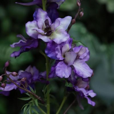 Delphinium Kunstbloem 94cm Lavender