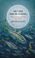 Het oog van de school: Wat we kunnen leren van vissen - thumbnail