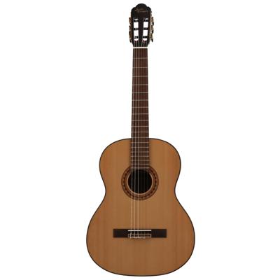 Javier Enriques CAG-75NT Natural 4/4-formaat klassieke gitaar met solid sparren top