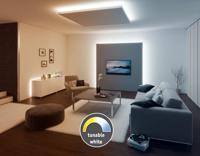 Paulmann MaxLED Tunable White 70623 LED-strip basisset Met connector (male) 24 V 1.5 m Warmwit, Neutraalwit, Daglichtwit 1 stuk(s) - thumbnail