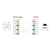 Delock 80441 RJ45 / M12 Netwerkkabel, patchkabel SF/UTP 1.00 m Groen 1 stuk(s) - thumbnail