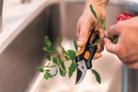 Solid Snip Bloemenschaar Fiskars - Fiskars - thumbnail