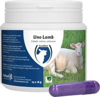 Excellent Uno Lam 25 x 16 g - thumbnail