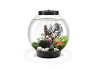 Oase 71999 biOrb CLASSIC 15 LED schwarz Aquarium 15 l Met LED-verlichting - thumbnail