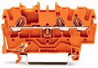 WAGO 2002-1302 Doorgangsklem 5.20 mm Spanveer Oranje 100 stuk(s) - thumbnail