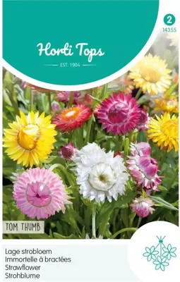 Zaden Helichrysum lage Strobloem Tom Thumb Hortitops - Hortitops Zaden Helichrysum lage Strobloem Tom Thumb Hortitops - Hortitops