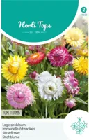 Zaden Helichrysum lage Strobloem Tom Thumb Hortitops - Hortitops - thumbnail
