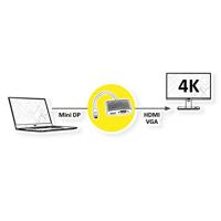 Roline 12.03.3161 DisplayPort-kabel Mini-displayport / VGA Adapterkabel Mini DisplayPort-stekker, VGA-bus 15-polig 0.10 m Zilver (metallic) - thumbnail