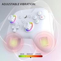 Draadloze controller - SUBSONIC - Switch 2 / Switch - Programmeerbare LED's - Trillingen - Gyroscoop - Wit - thumbnail