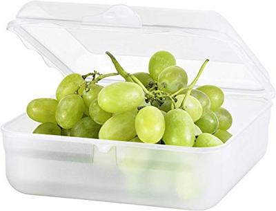 Rotho Fun Lunchbox Vierkant 2.35L Transparant