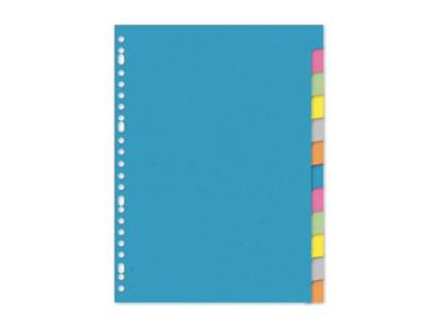 Kangaro Tabbladen a4 23 rings karton