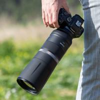Canon RF 800mm F11 IS STM - thumbnail