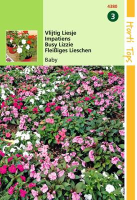 Zaden Impatiens Vlijtig Liesjes Baby gemengd Hortitops - Hortitops Zaden Impatiens Vlijtig Liesjes Baby gemengd Hortitops - Hortitops