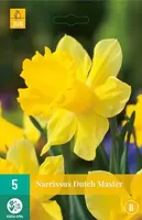 Bloembollen Narcissus Dutch Master 5st - thumbnail