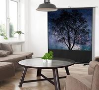 Ultramobil Plus Professional projectiescherm 120 x 90 cm - thumbnail