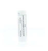 Homeoden Heel Aesculus hippocastanum D12 6 Gram - thumbnail