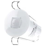 Merten MEG6303-0019 Aanwezigheidsdetector - thumbnail