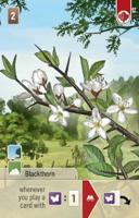 Forest Shuffle Woodland Edge - thumbnail