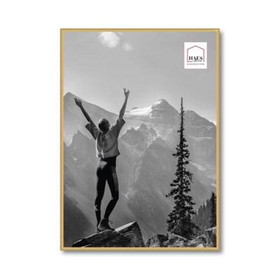 Haes Deco Kunststof Fotolijst EF8G Easy Frame Goud 50x70 cm