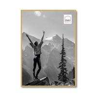 Haes Deco Kunststof Fotolijst EF8G Easy Frame Goud 50x70 cm - thumbnail