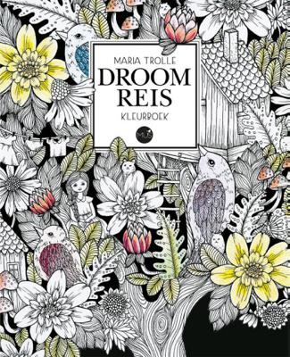 Droomreis kleurboek (Hardback)