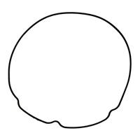 ATHENA koppelingsdeksel pakking clutch cover gasket bet o-ring - thumbnail